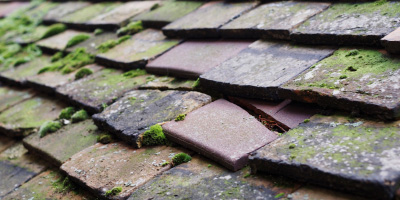 Farleigh roof repair costs